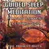 Guided Sleep Meditation: Falling Leaves (Letting Go) album lyrics, reviews, download