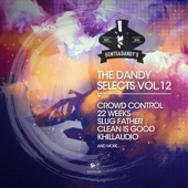 The Dandy Selects, Vol. 12 artwork