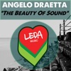 The Beauty of Sound - Single