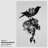 Metamorphosis (Live in Moscow / Sound Up Forte Festival / New Tretyakov Gallery) artwork
