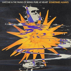 PAINS OF BEING PURE AT HEART cover art