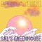 Better - Sal's Greenhouse lyrics