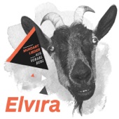 Elvira (Mundartlieder aus Vorarlberg) artwork