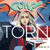 Torn (Hook N Sling Remix) - Single album lyrics, reviews, download