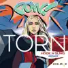 Stream & download Torn (Hook N Sling Remix) - Single