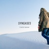 Syngases - EP