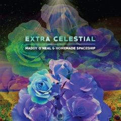 Extra Celestial - Single