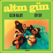 Gelin Halayı artwork