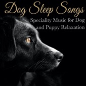 Dog Sleep Songs: Speciality Music for Dog and Puppy Relaxation artwork