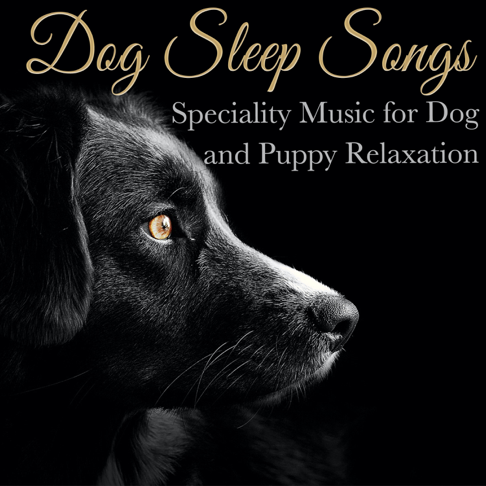 songs for puppies to sleep