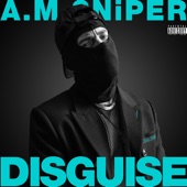 Disguise artwork