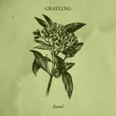 Grayling - Cursed