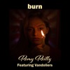 Remy Reilly - Burn (feat. Vandoliers)