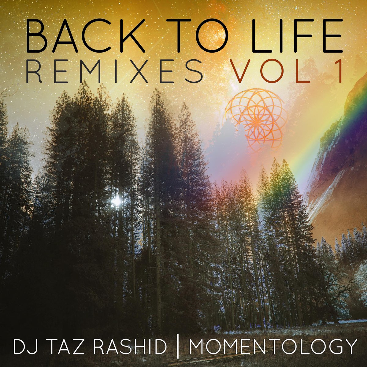 Красивую жизнь ремикс. Back to Life Remix. Ryan Herr & Momentology - visible.