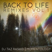 Back to Life Remixes, Vol. 1 artwork