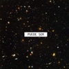 Puede Ser - Single