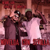 Novelda Con Sevilla (feat. Daviles De Novelda) artwork