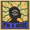 I'm a Mess - Single