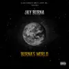 Burna's World album lyrics, reviews, download