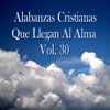 Alabanzas Cristianas Que Llegan al Alma, Vol. 30