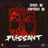 Puissant artwork