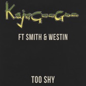 Too Shy (Radio Edit) artwork