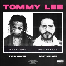 Tommy Lee artwork
