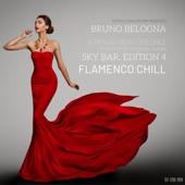 Flamenco Chill artwork