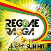 Reggae Party (feat. Jacky Brown, Tonton David, Taïro, Scars, Pierpoljak, Brahim, Daddy Yod & Daddy Mory) [Remix] artwork