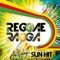 Reggae Party (feat. Jacky Brown, Tonton David, Taïro, Scars, Pierpoljak, Brahim, Daddy Yod & Daddy Mory) [Remix] artwork