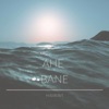 Hawaii by Ahe Bane iTunes Track 1