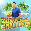 Zurück zu dir (Mallorca) - Single