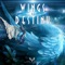 Wings of Destiny artwork