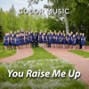 You Raise Me Up - Single