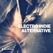 Electro Indie Alternative artwork