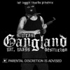 Gangland: Mr. Mass Destruction