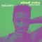 Dolphin (feat. The DopeyHopi) - Chad Roto lyrics