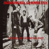 Advanced Chemistry - Fremd im eigenen Land