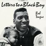 Bob Teague - Do I Like Being Black?