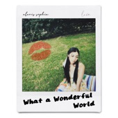 What a Wonderful World (Live) artwork