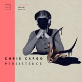 Persistence (Galexis Remix) artwork