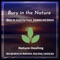 Crystal Healing - Yogsutra Relaxation Co lyrics