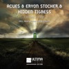 I Remember (Acues vs. Eryon Stocker vs. Hidden Tigress) - Single