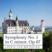Symphony No. 5 in C Minor, Op. 67: I. Allegro con brio artwork