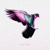 Hush (feat. Garrison Starr) - Single artwork