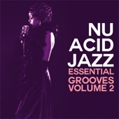 Nu Acid Jazz: Essential Grooves, Vol. 2 artwork