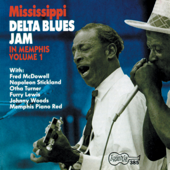 Mississippi Delta Blues Jam in Memphis, Vol. 1 - Various Artists