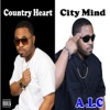 Country Heart City Mind