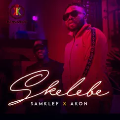 Skelebe (feat. Akon) Song Lyrics