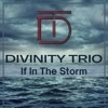 If in the Storm - Single